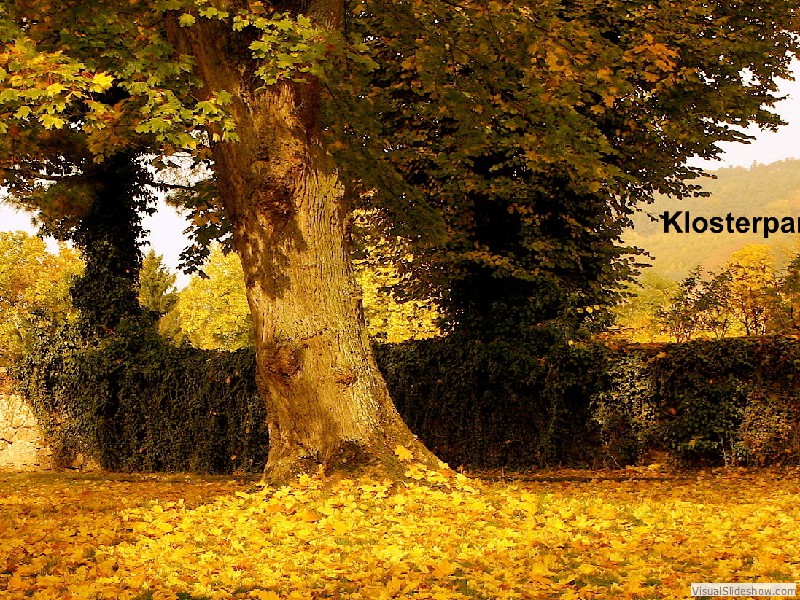 Klosterpark01_3